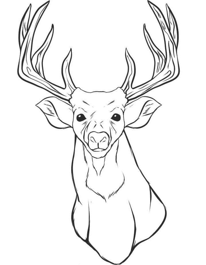 Hirsch Druckbar ausmalbilder