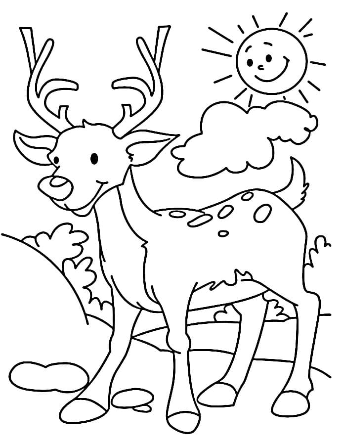 Hirsch Drucken ausmalbilder