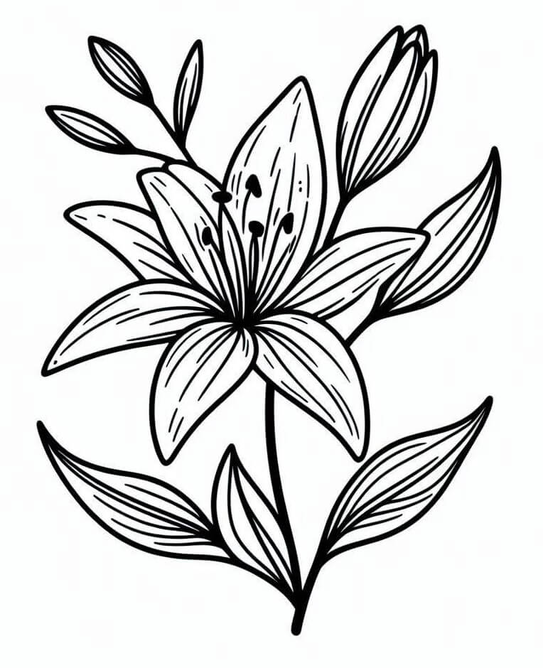Hübsche Lilie ausmalbilder
