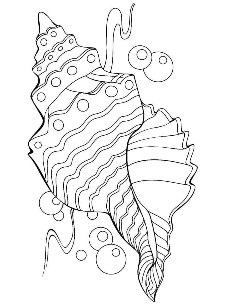 Hübsche Muschel ausmalbilder