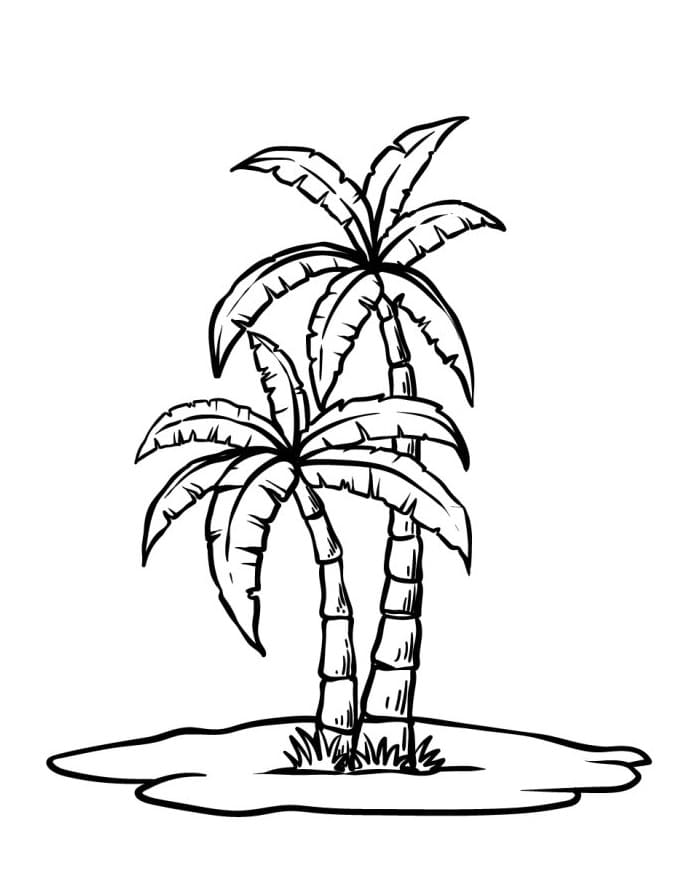 Hübsche Palme ausmalbilder