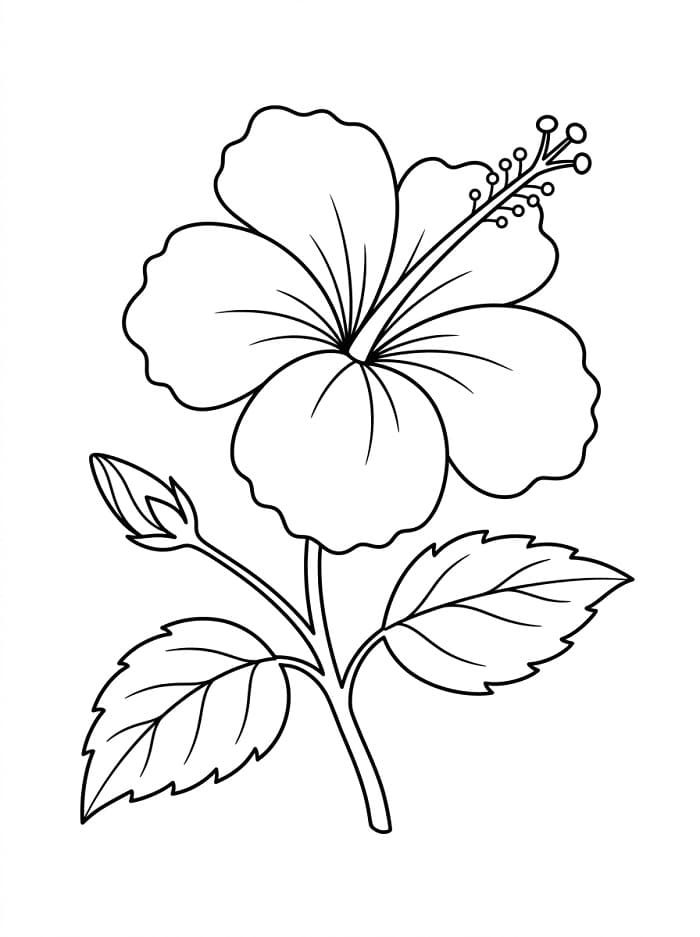 Hübscher Hibiskus ausmalbilder