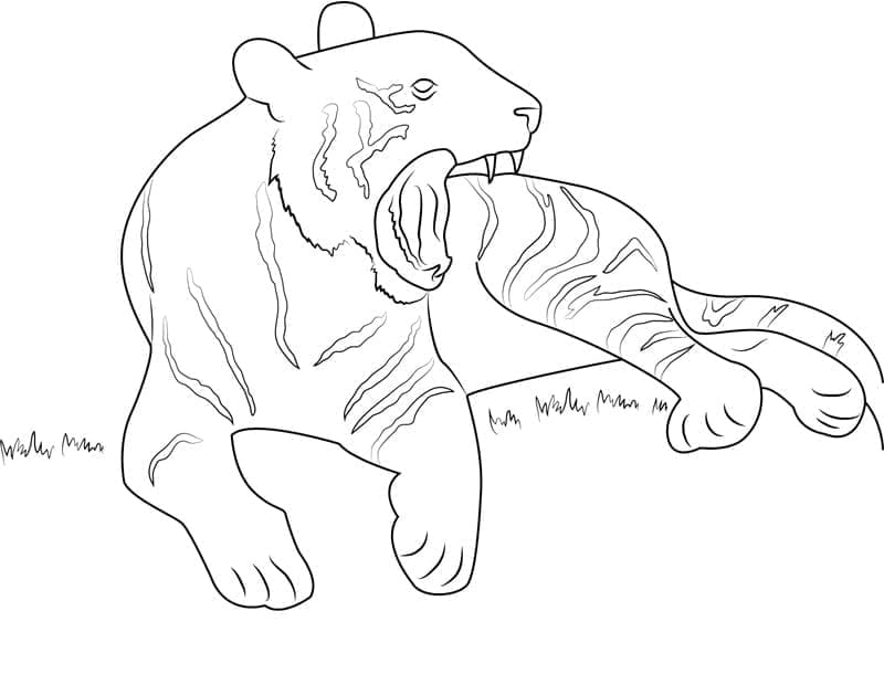 Hübscher Tiger ausmalbilder