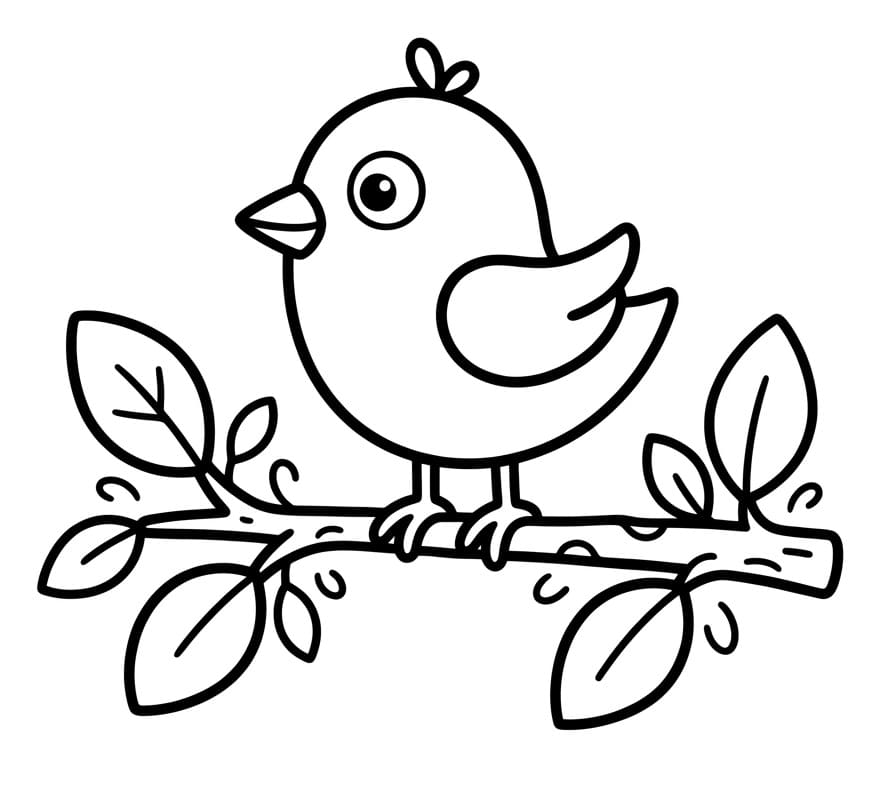 Vogel ausmalbilder