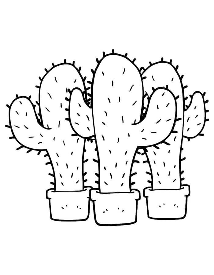 Kaktus Malvorlage für Kinder ausmalbilder