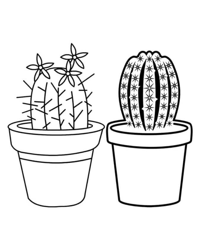 Kaktus für 6-jährige Kinder ausmalbilder