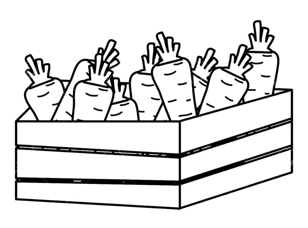 Karotte (1) ausmalbilder