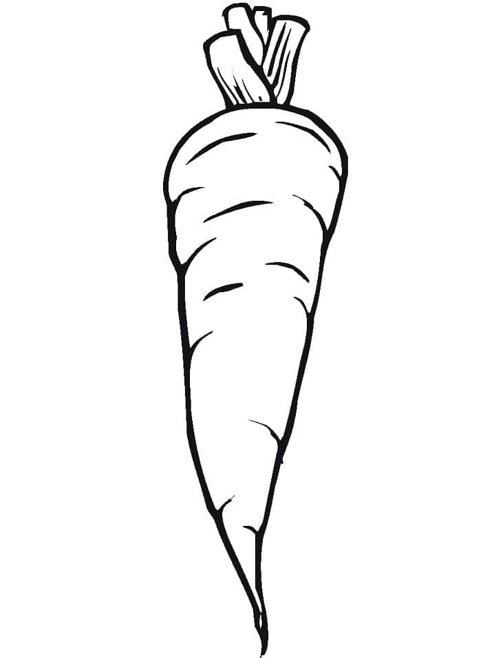 Karotte druckbereit ausmalbilder