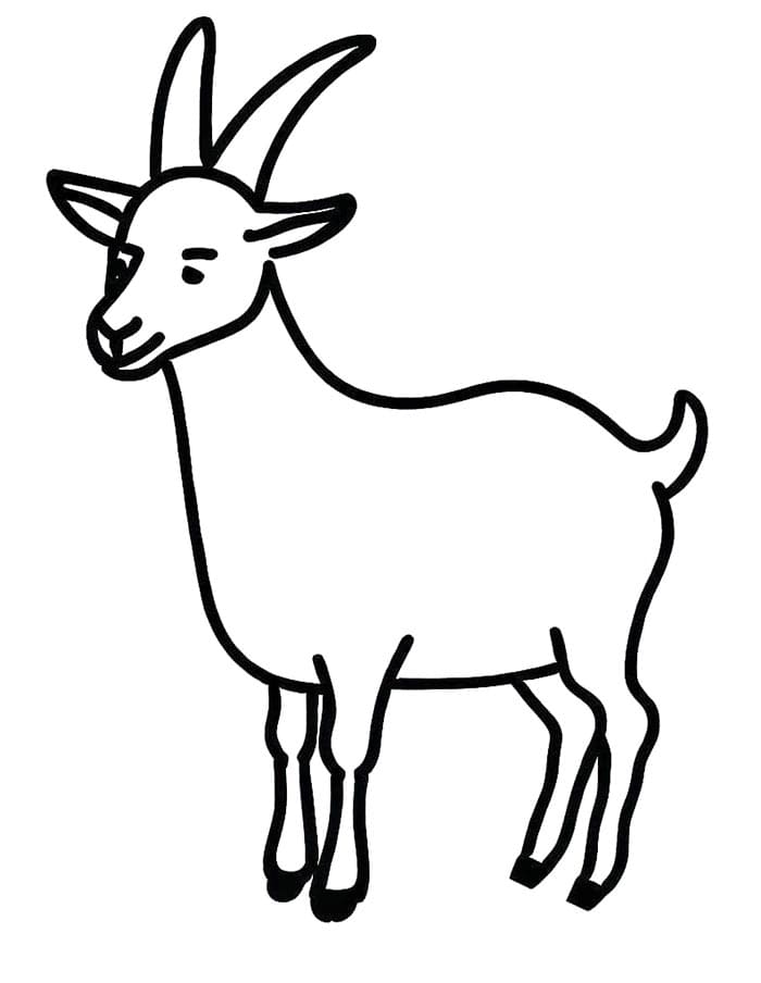 Kleine Ziege ausmalbilder