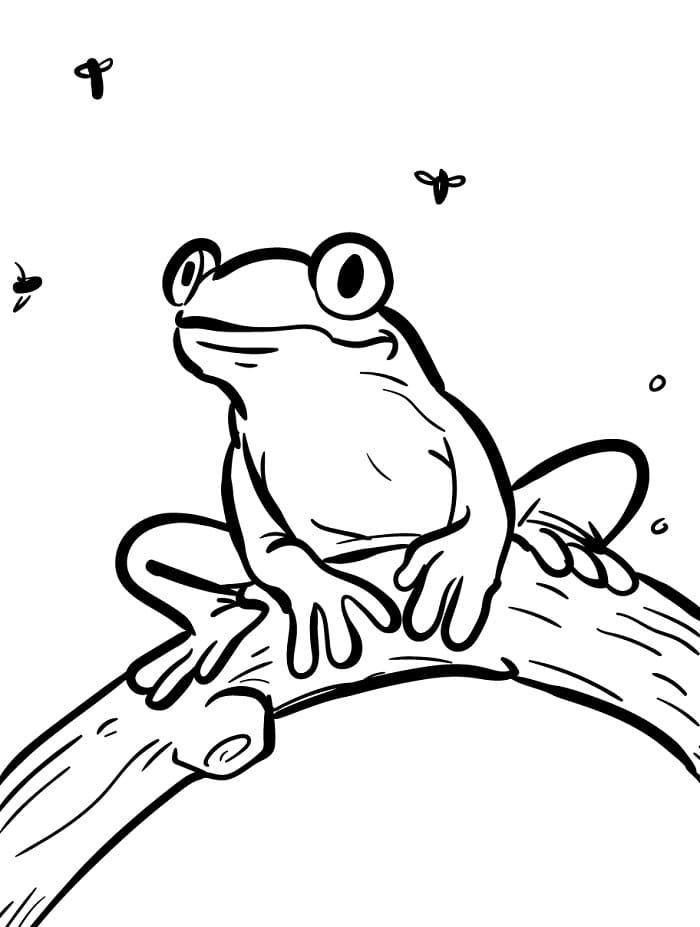 Kleiner Frosch ausmalbilder