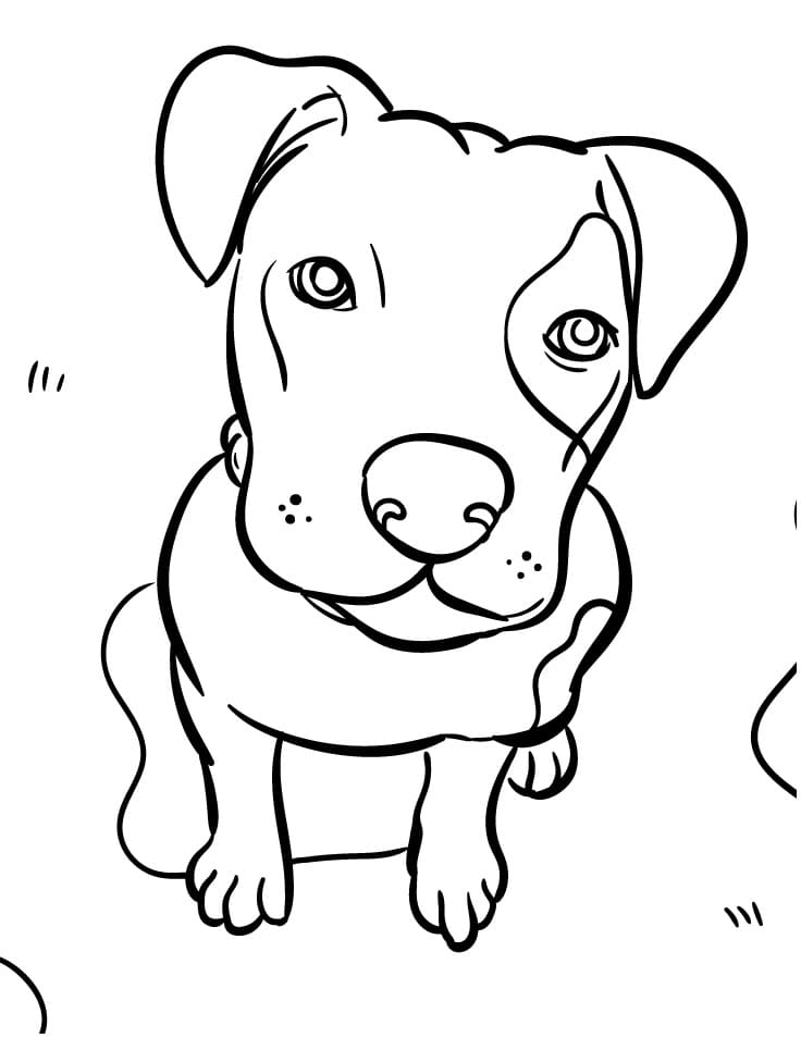 Kleiner Hund ausmalbilder