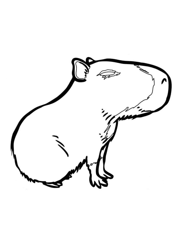 Kostenlos Capybara druckbares ausmalbilder