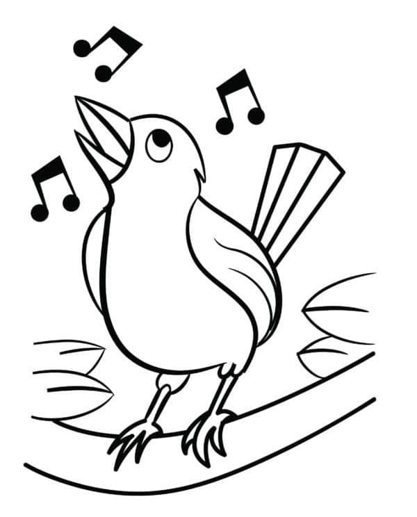 Kostenlos Vogel druckbarer ausmalbilder