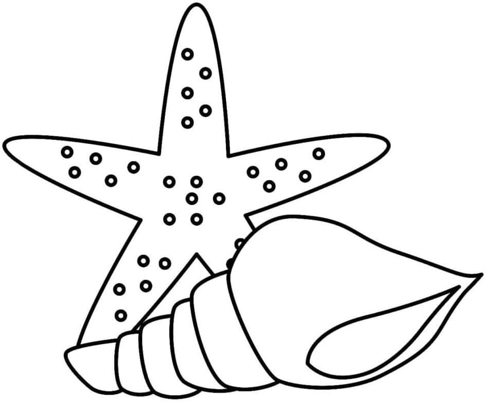 Kostenlos druckbare Muschel ausmalbilder