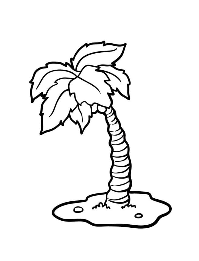 Kostenlos druckbare Palme ausmalbilder