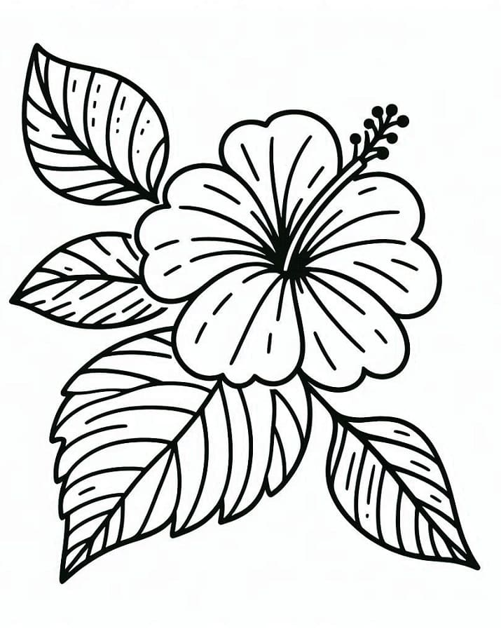 Kostenlos druckbarer Hibiskus ausmalbilder