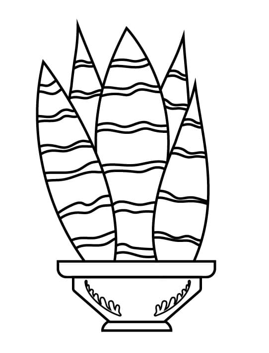 Kostenlos druckbarer Kaktus ausmalbilder