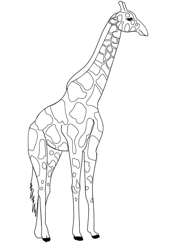 Kostenlose Giraffe ausmalbilder