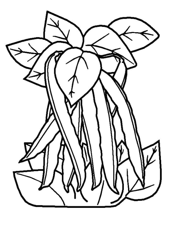 Kostenlose Kinder-Ausgabe Gemüse ausmalbilder