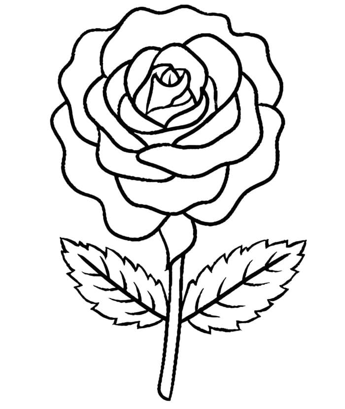 Kostenlose Rose ausmalbilder