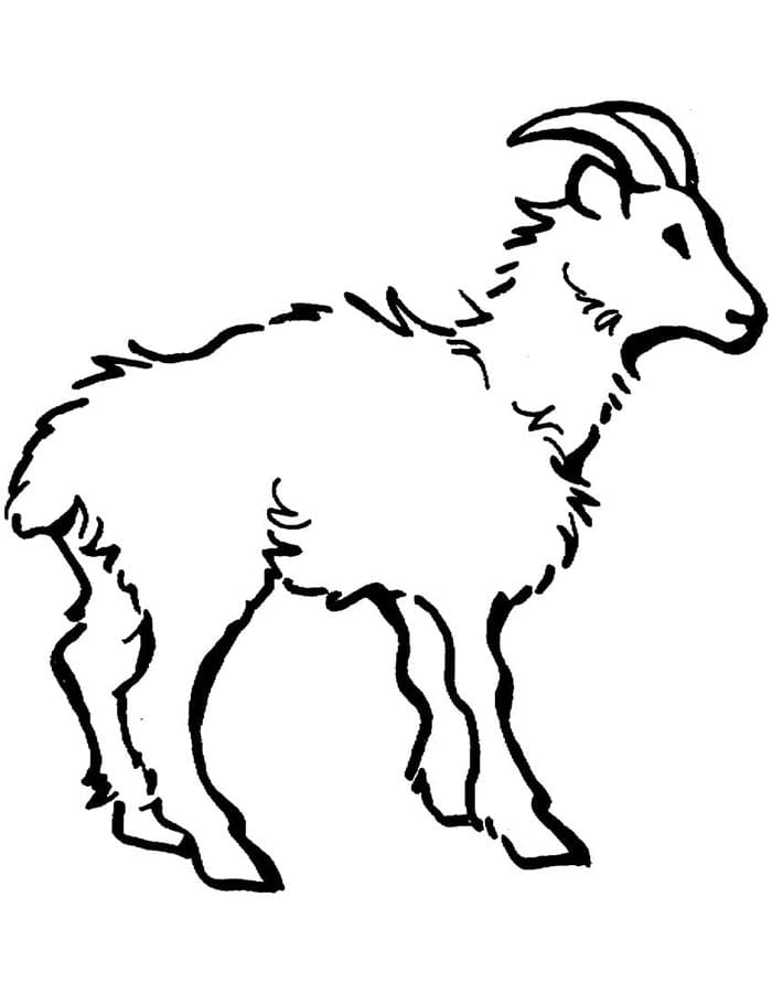 Kostenlose Ziege ausmalbilder
