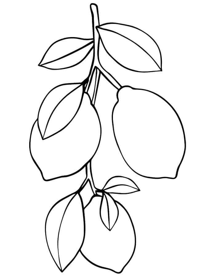 Kostenlose Zitrone ausmalbilder