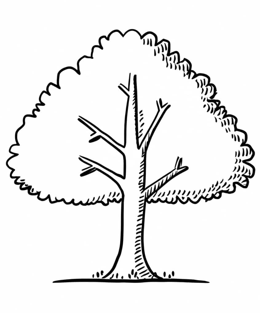 Kostenloser Baum ausmalbilder