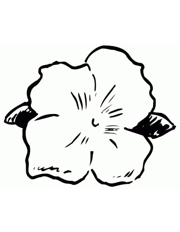 Kostenloser Hibiskus zum Ausdrucken ausmalbilder