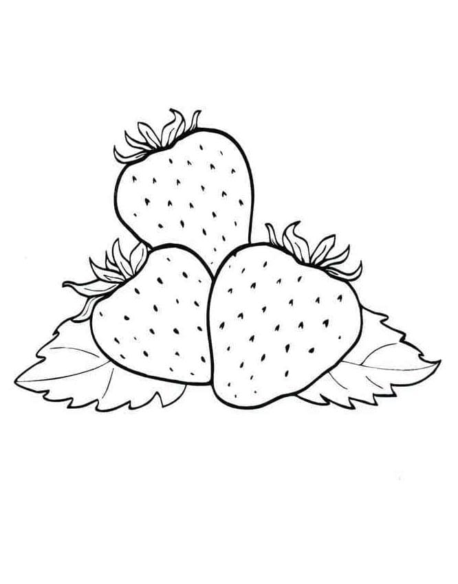 Kostenloser Kinder-Erdbeere Ausdruck ausmalbilder