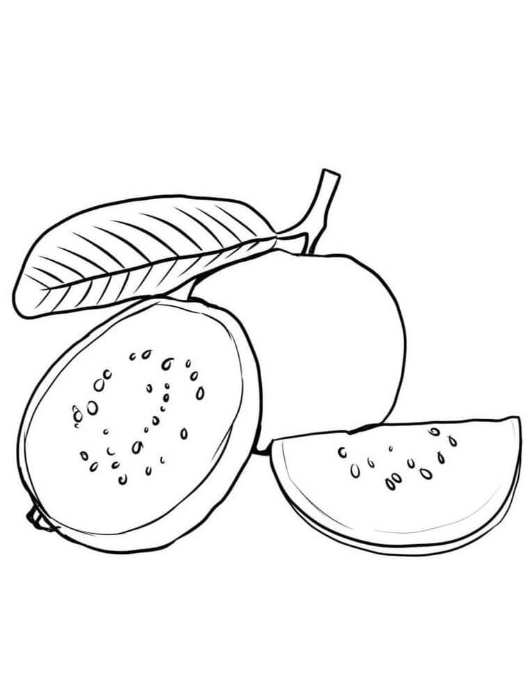 Kostenloser Kinder-Früchte Ausdruck ausmalbilder