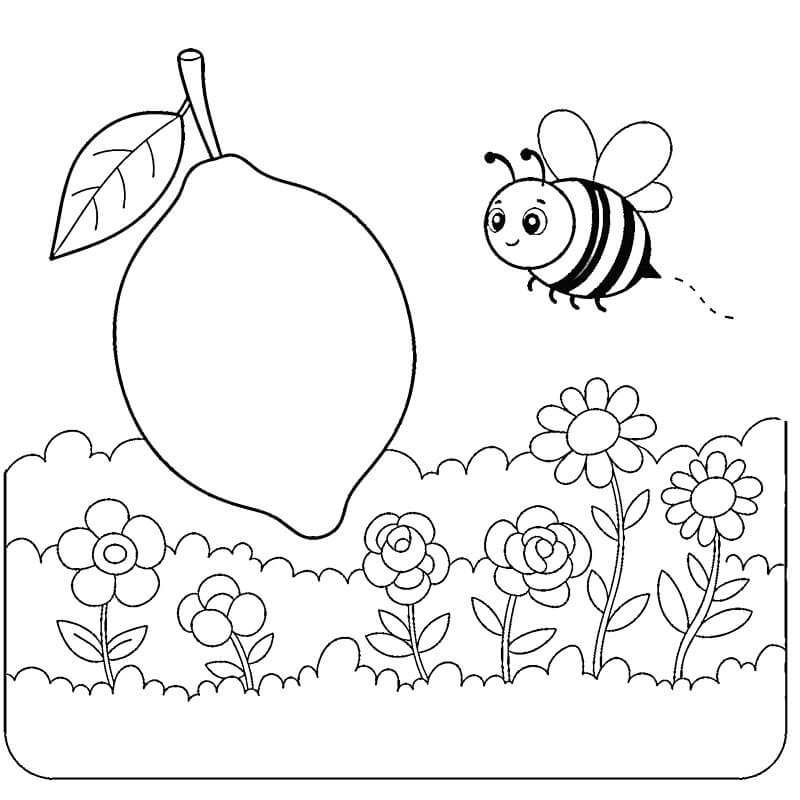 Kostenloser Kinder-Zitrone Ausdruck ausmalbilder