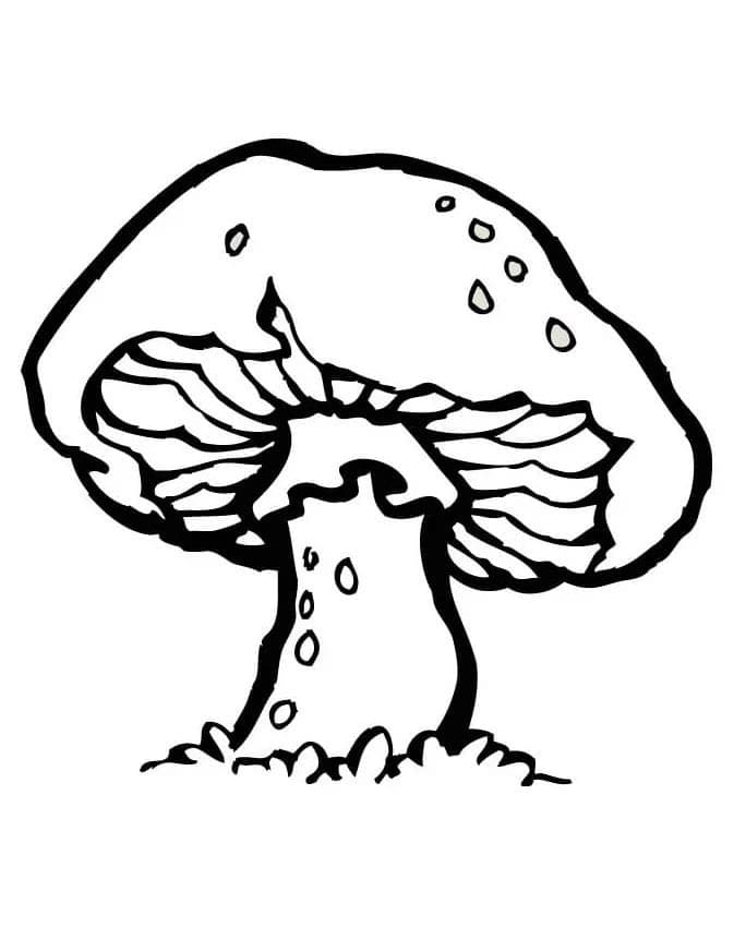 Kostenloser Pilz ausmalbilder
