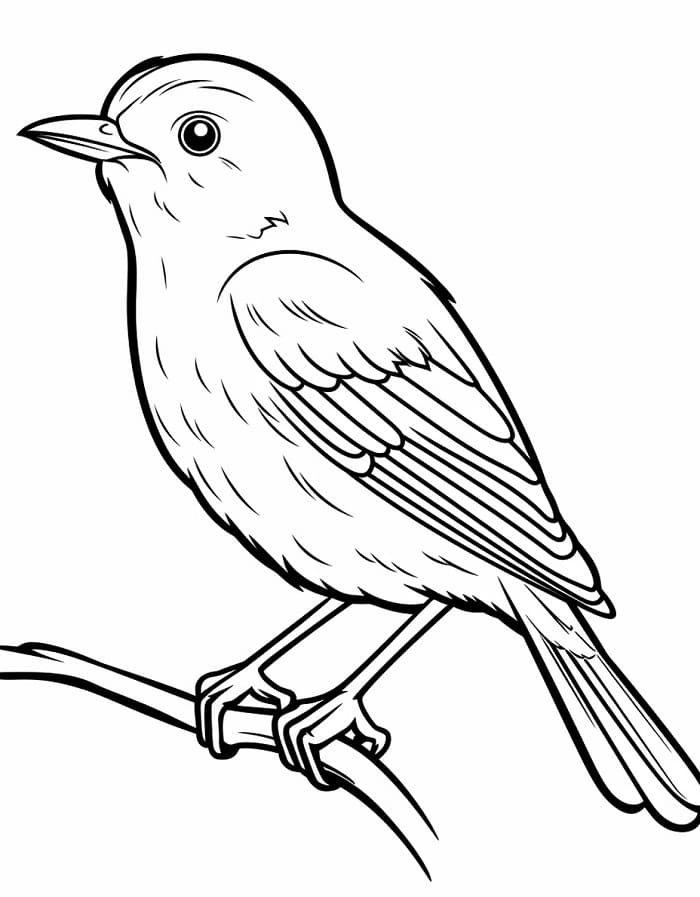 Kostenloser Vogel ausmalbilder