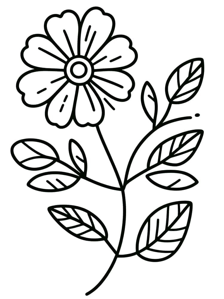 Kostenloses Blumenbild ausmalbilder