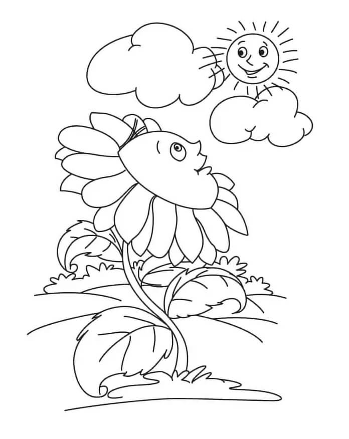 Kostenloses Sonnenblumenbild ausmalbilder