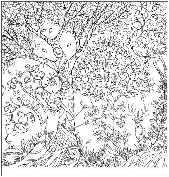 Kostenloses Waldbild ausmalbilder
