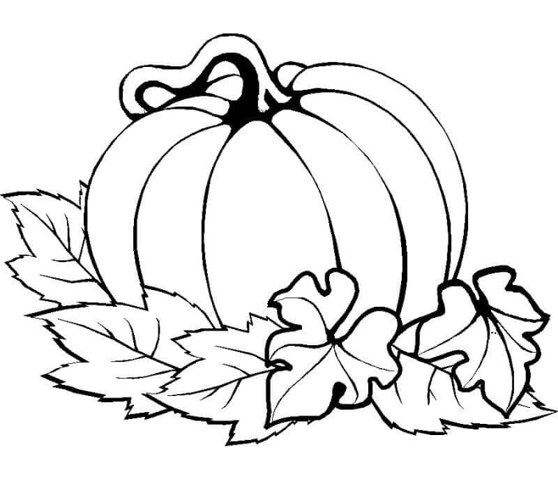 Kürbis (7) ausmalbilder