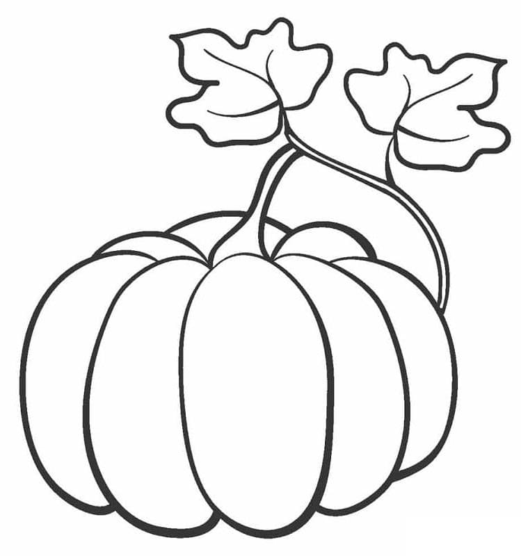 Kürbis druckbereit ausmalbilder