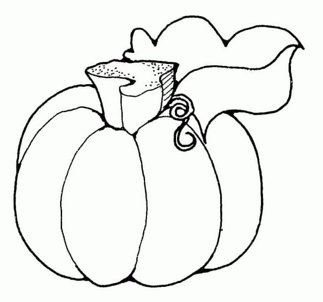 Kürbis für Kinder geeignet ausmalbilder