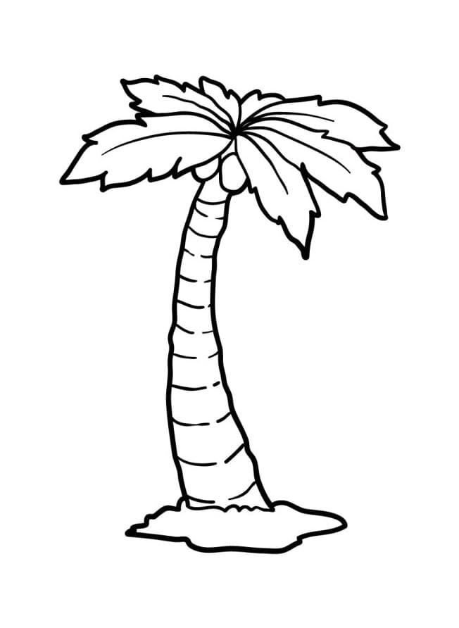 Leichte Palme ausmalbilder