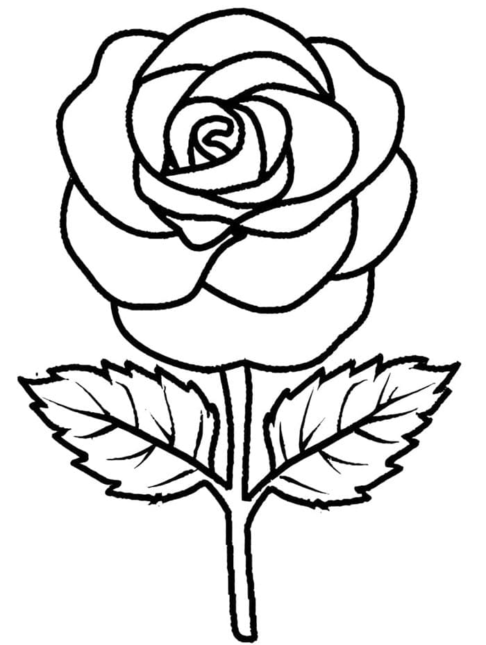 Leichte Rose ausmalbilder