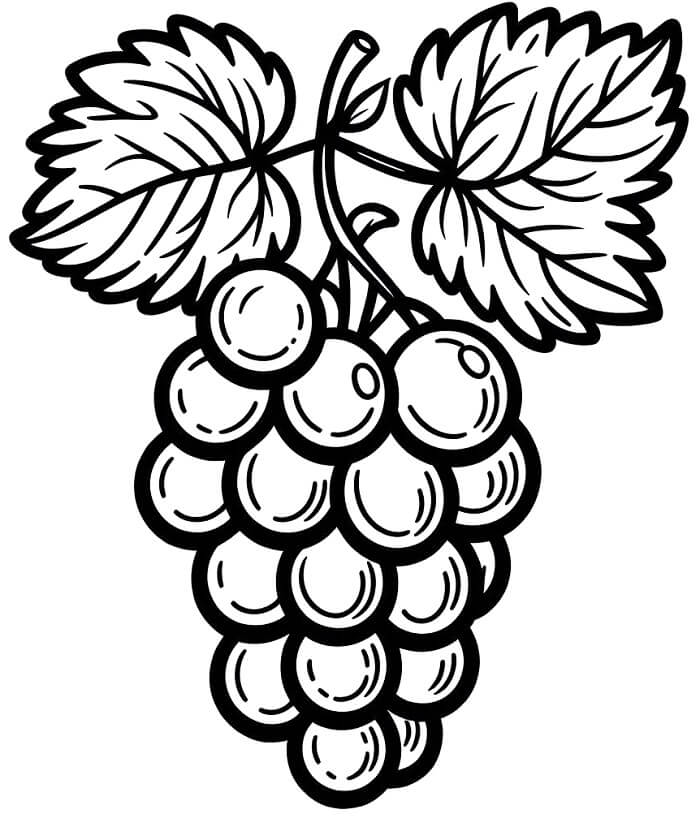 Leichte Trauben ausmalbilder