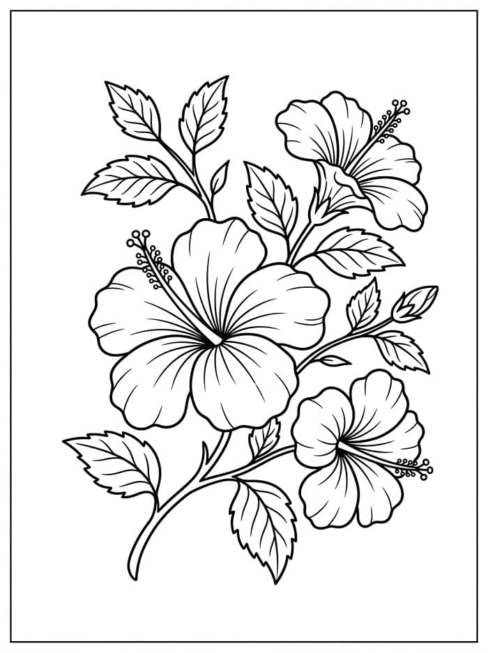 Leichter Hibiskus ausmalbilder