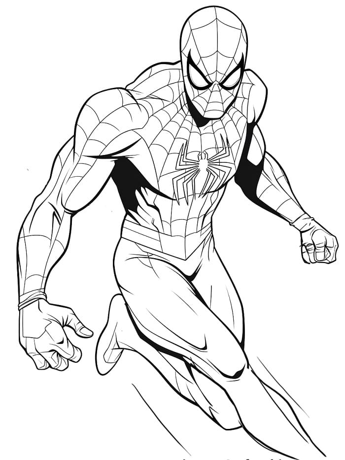 Leichter Spiderman ausmalbilder