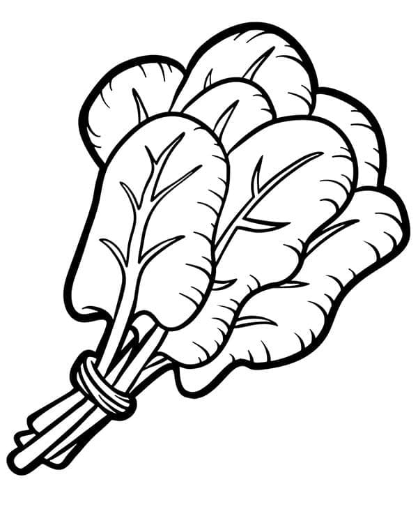 Leichter Spinat ausmalbilder