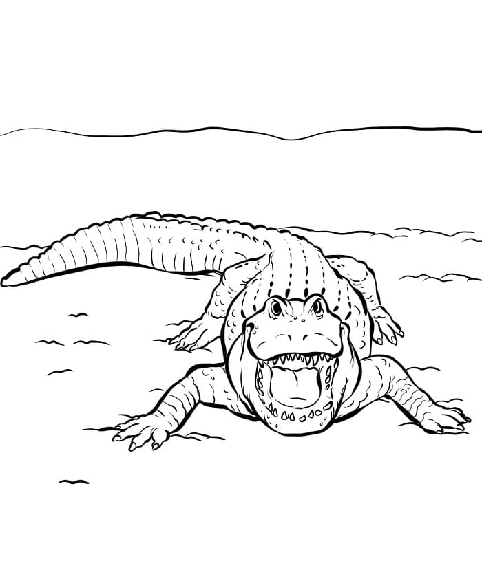 Leichtes Krokodil ausmalbilder