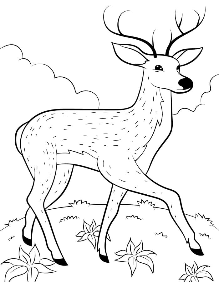 Liebenswerter Hirsch ausmalbilder