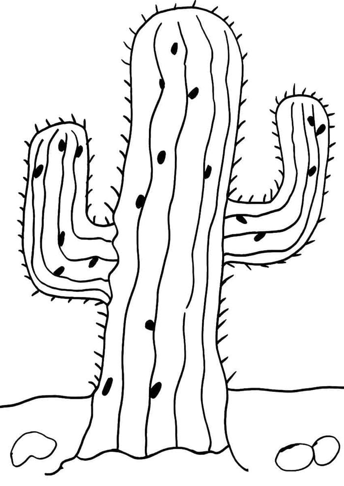 Lieblicher Kaktus ausmalbilder