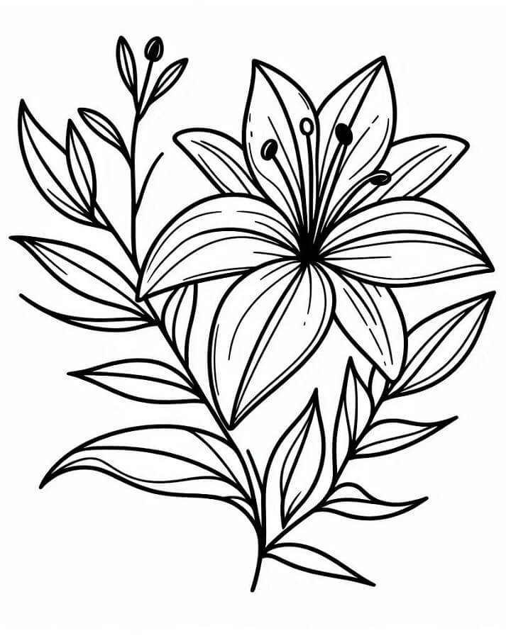 Lilie Bild ausmalbilder