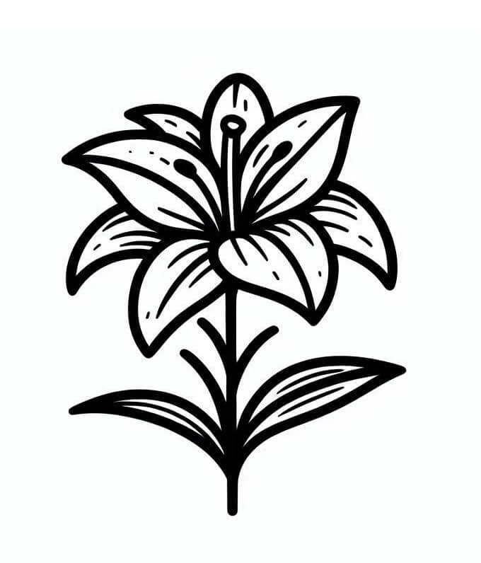 Lilie kostenlos ausmalbilder